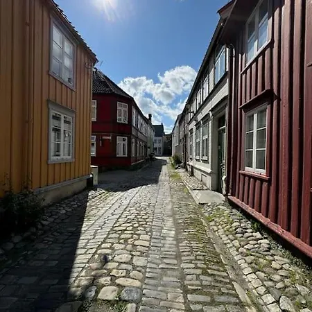 Koselig Studioleilighet I Sentrum Trondheim Esterno foto