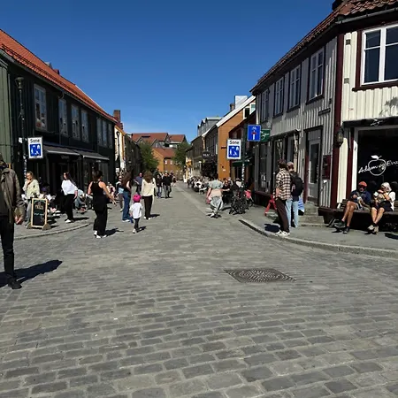 Koselig Studioleilighet I Sentrum Trondheim Exterior photo