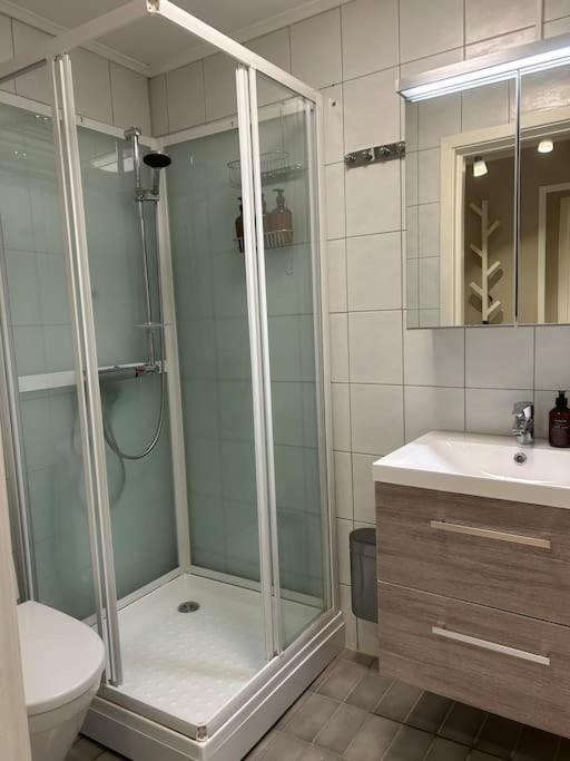 Koselig Studioleilighet I Sentrum Apartment *