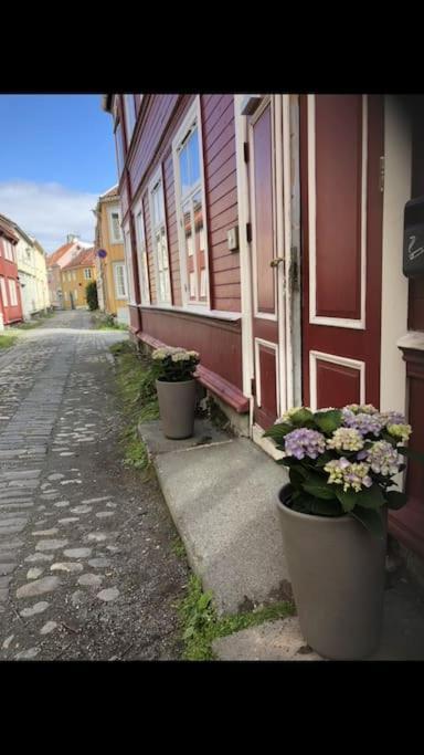 Apartment Koselig Studioleilighet I Sentrum Trondheim