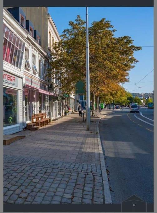 Koselig Studioleilighet I Sentrum Apartment Trondheim