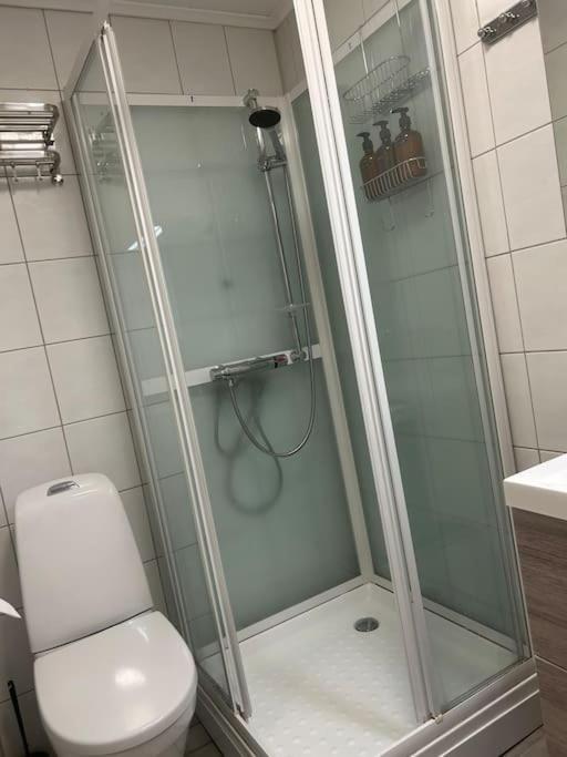 Koselig Studioleilighet I Sentrum *