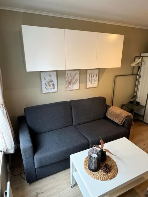 Koselig Studioleilighet I Sentrum Trondheim