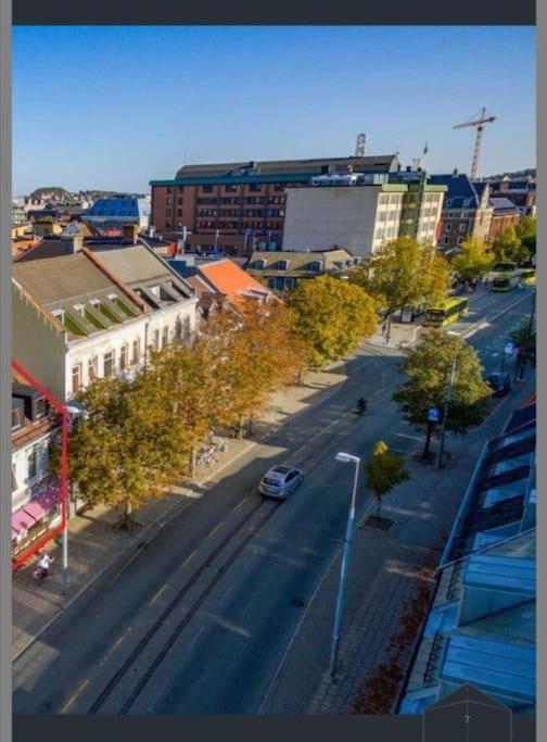 Koselig Studioleilighet I Sentrum * Trondheim